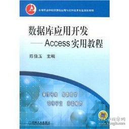 中职计算机技术开发教材教辅与考试体系构建探讨