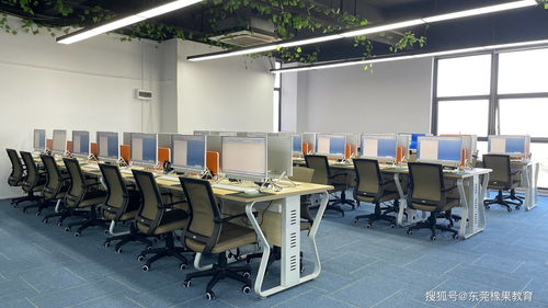 平面设计利器 Adobe Illustrator在计算机技术开发中的定位与应用